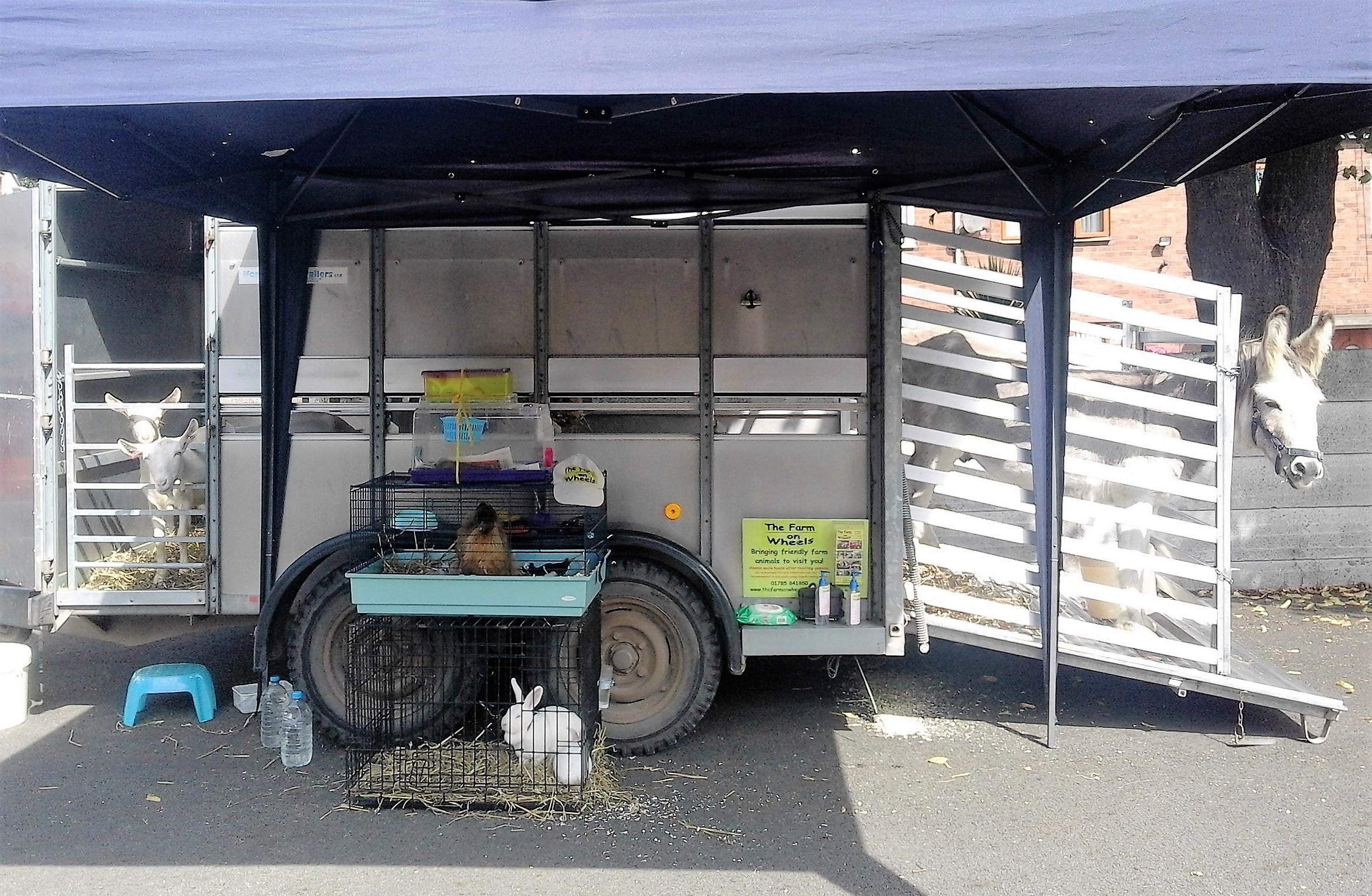 The Farm on Wheels People to Ask Countryside Classroom