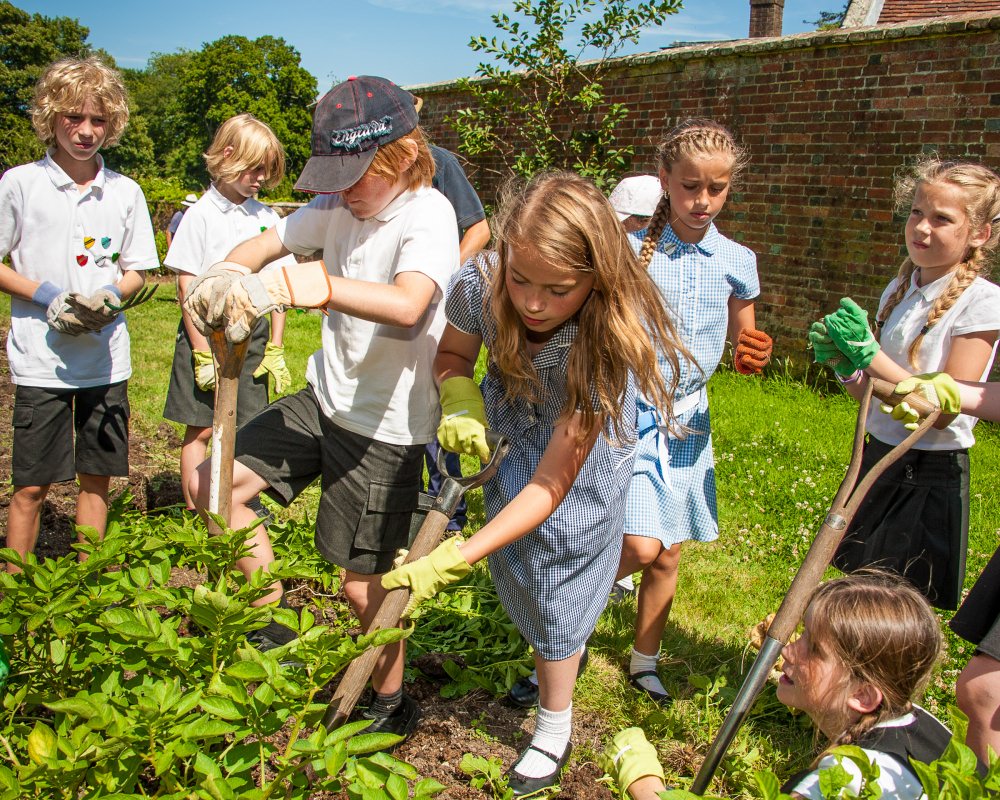 Activity community. Бизнес для детей 8 лет. Helping the environment. Экологическая организация Kids for a clean environment. Фон Kids for a clean environment.