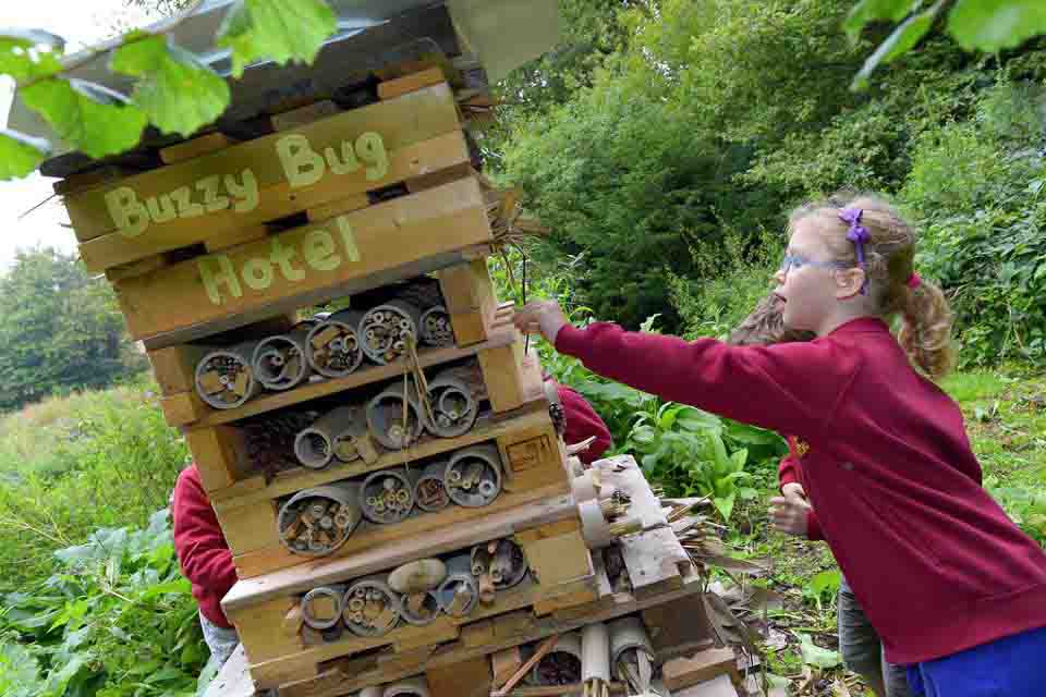 Make a Bug Hotel Teaching Resources Countryside Classroom