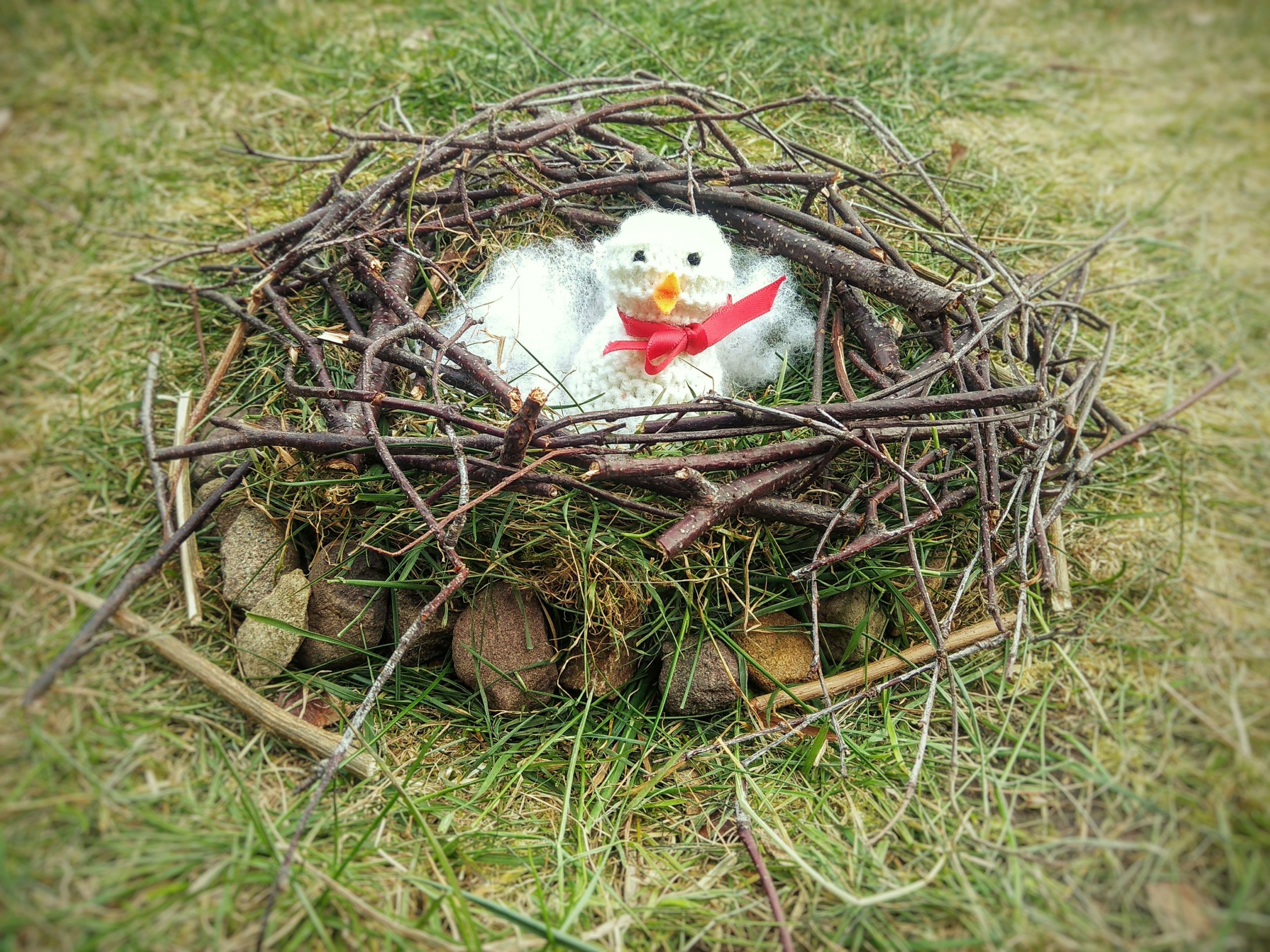 Nest Building Teaching Resources Countryside Classroom nest-building-teaching-resources-countryside-classroom