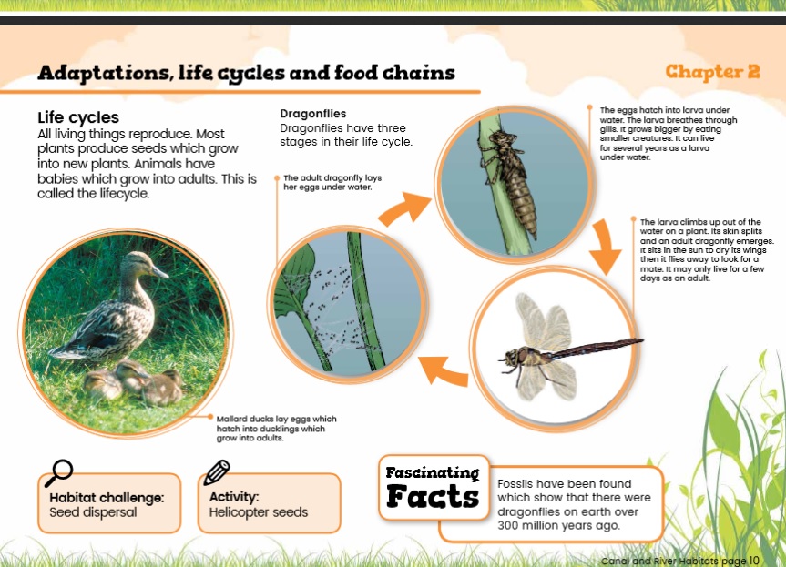 Canal & River Habitats Topic Pack | Teaching Resources | Countryside  Classroom