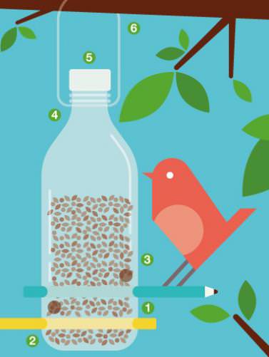 Build A Bottle Bird Feeder Teaching Resources Countryside