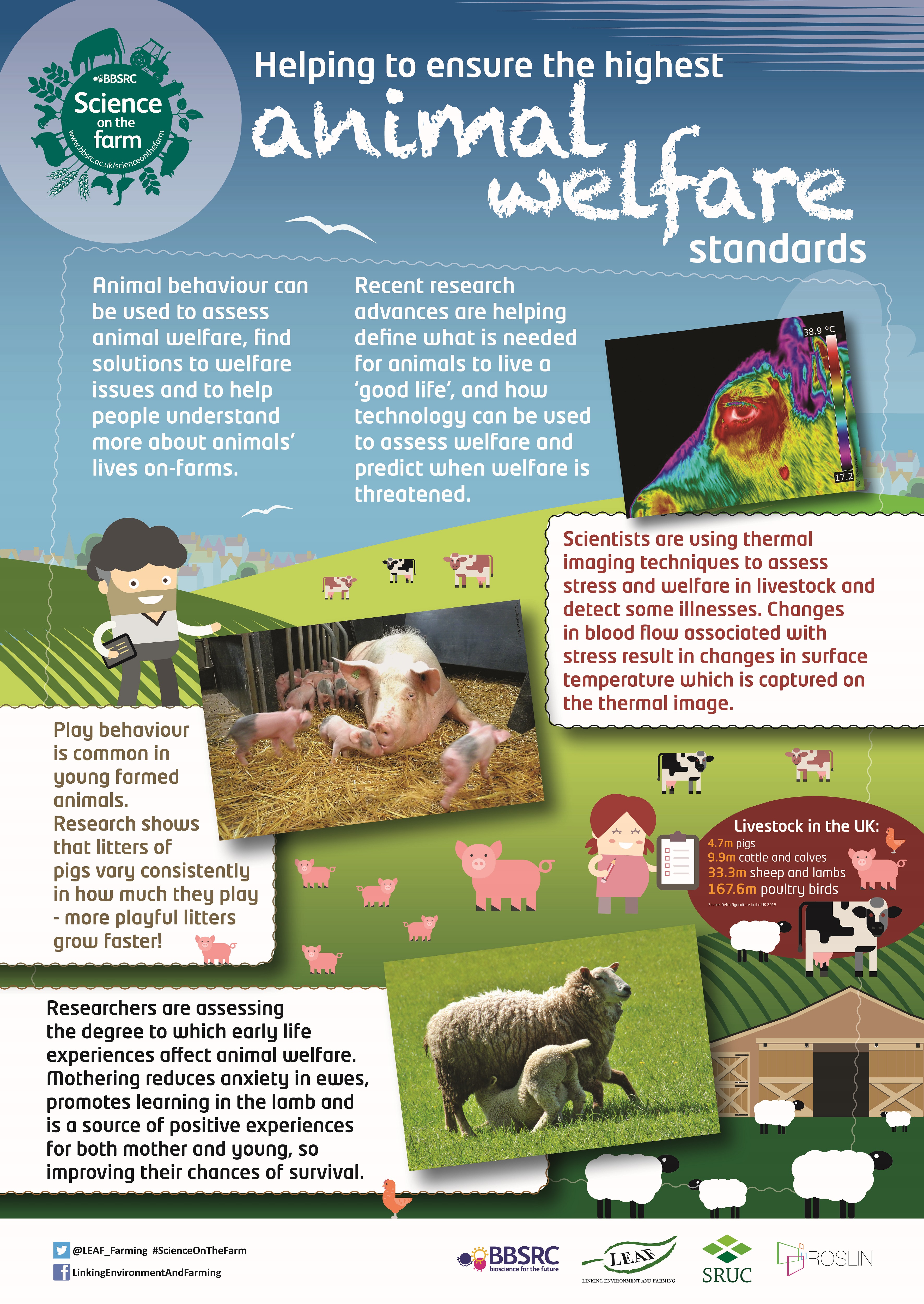 BBSRC Science on the Farm poster - ANIMAL WELFARE | Teaching Resources |  Countryside Classroom