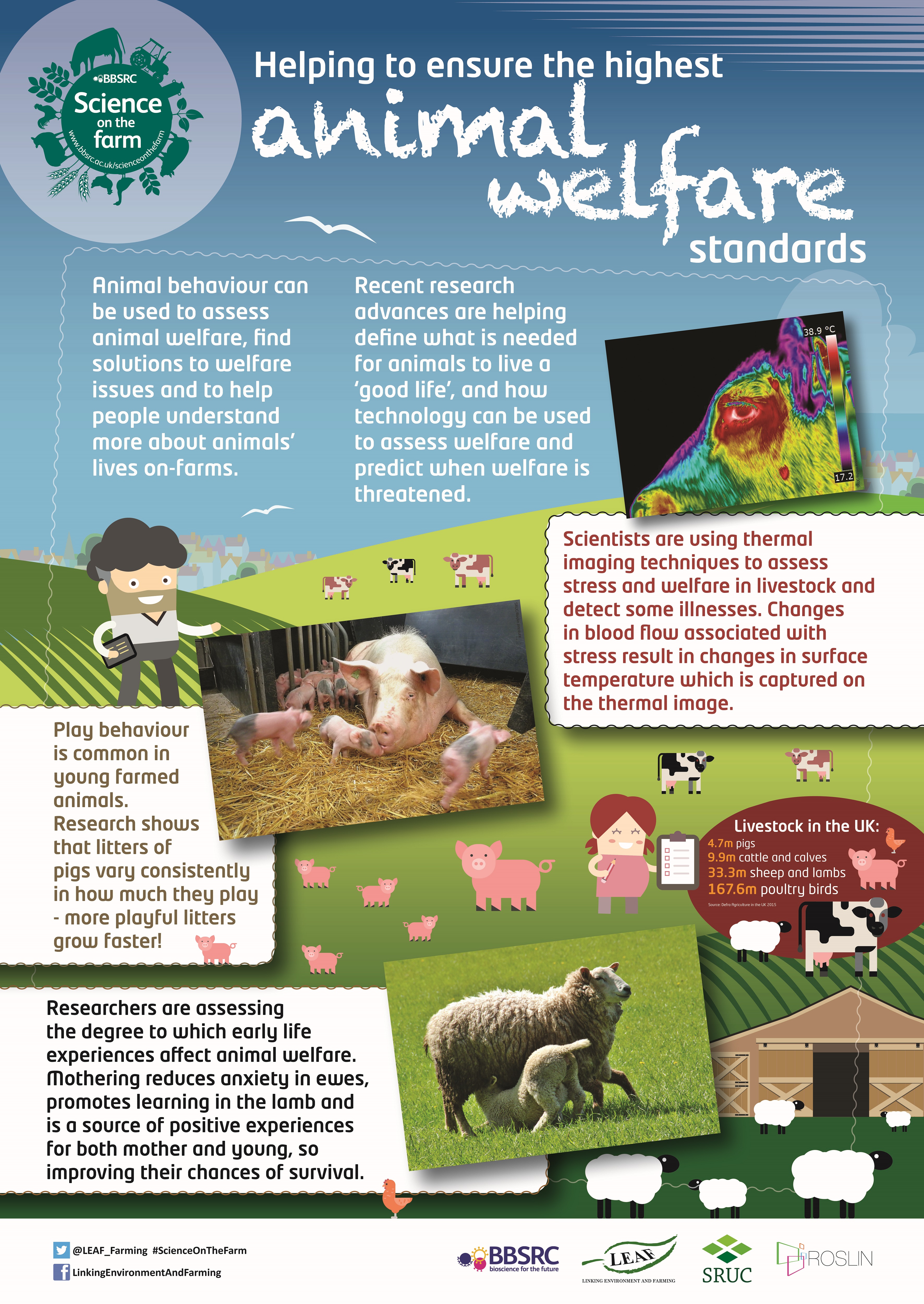 BBSRC Science on the Farm poster - ANIMAL WELFARE | Teaching Resources | Countryside Classroom BBSRC Science on the Farm poster - ANIMAL WELFARE | Teaching Resources | Countryside Classroom