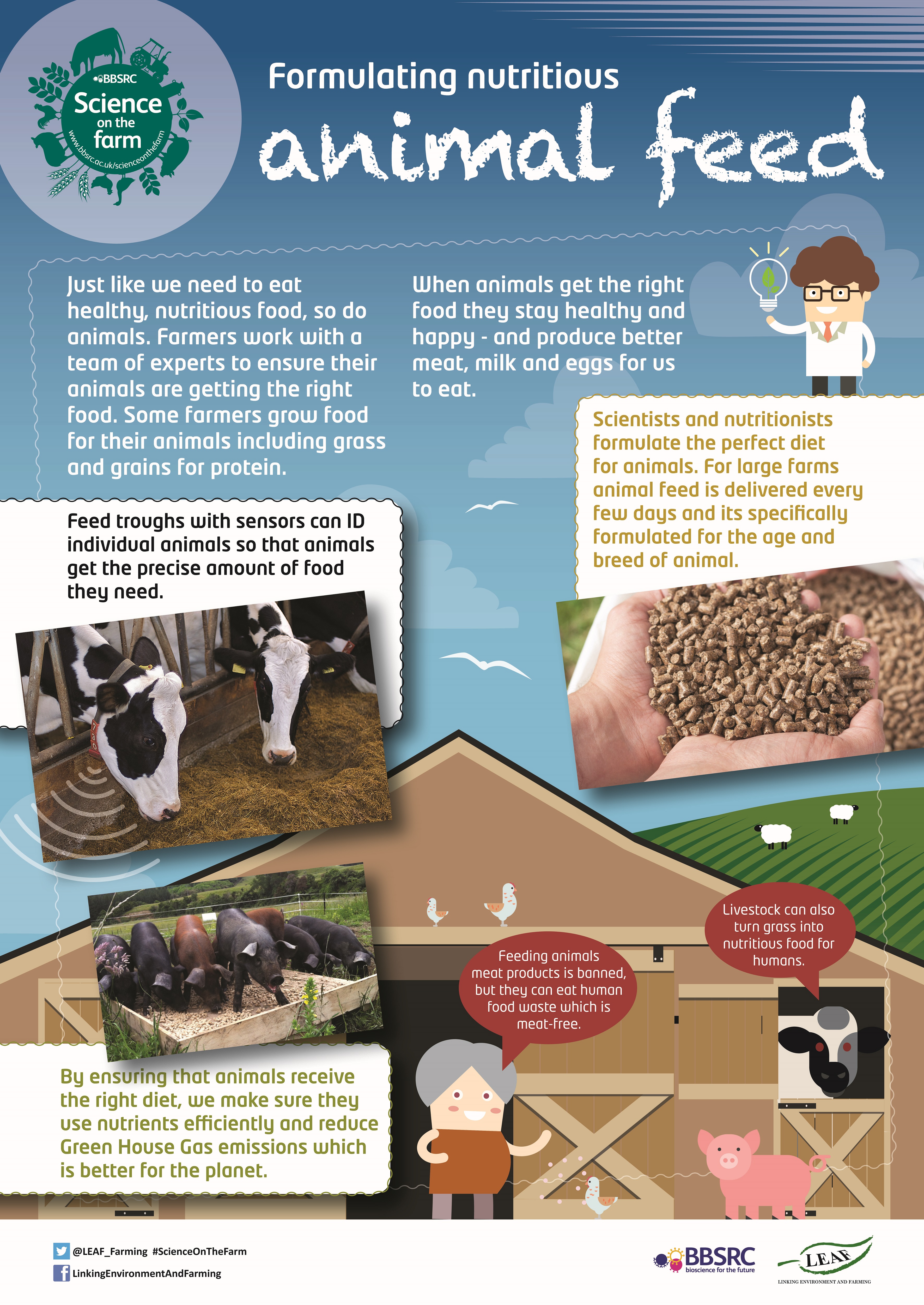 BBSRC Science on the Farm poster - ANIMAL FEED | Teaching Resources |  Countryside Classroom