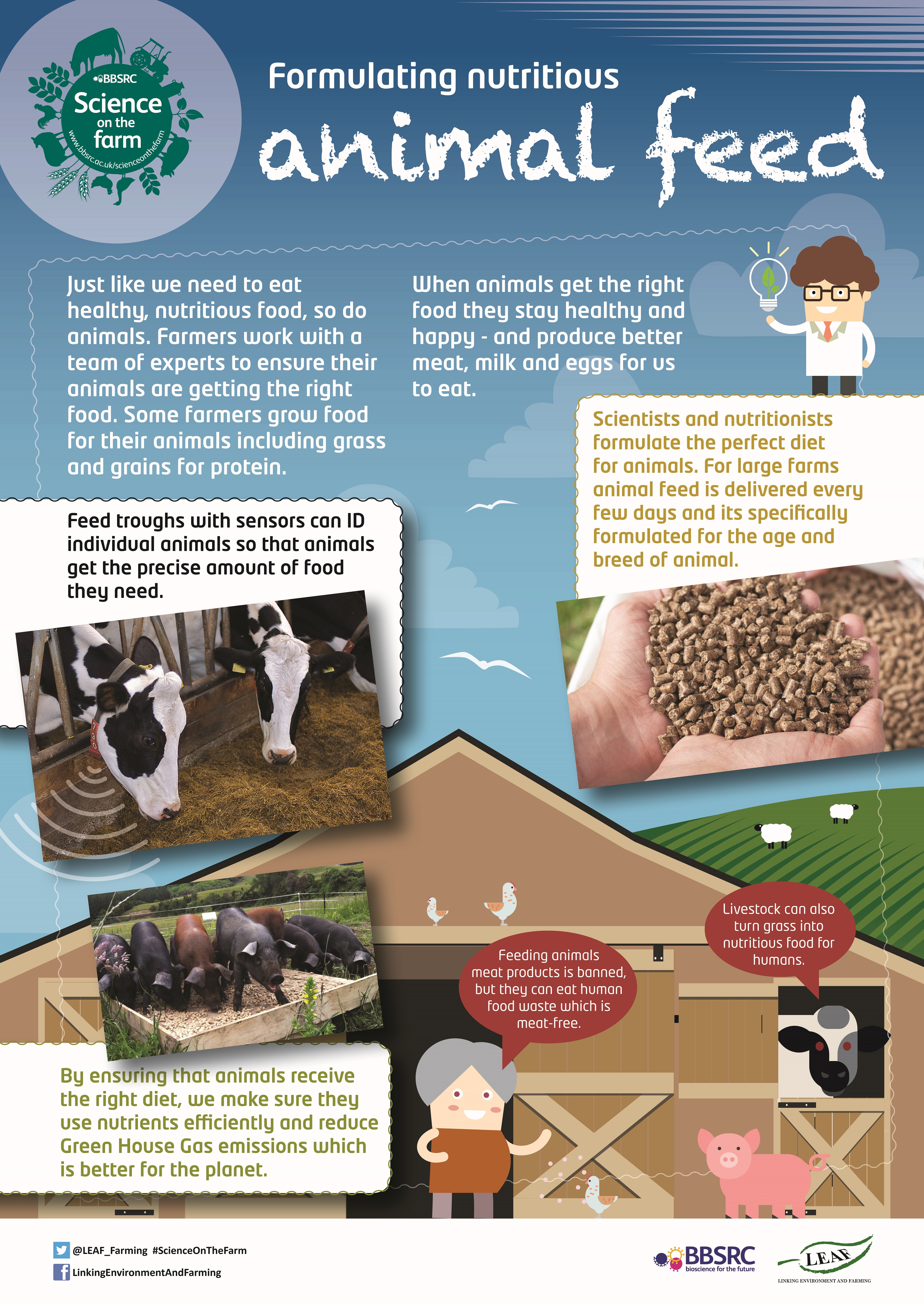 BBSRC Science on the Farm poster - ANIMAL FEED | Teaching Resources | Countryside Classroom BBSRC Science on the Farm poster - ANIMAL FEED | Teaching Resources | Countryside Classroom